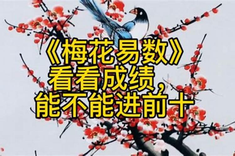 梅花算命教学