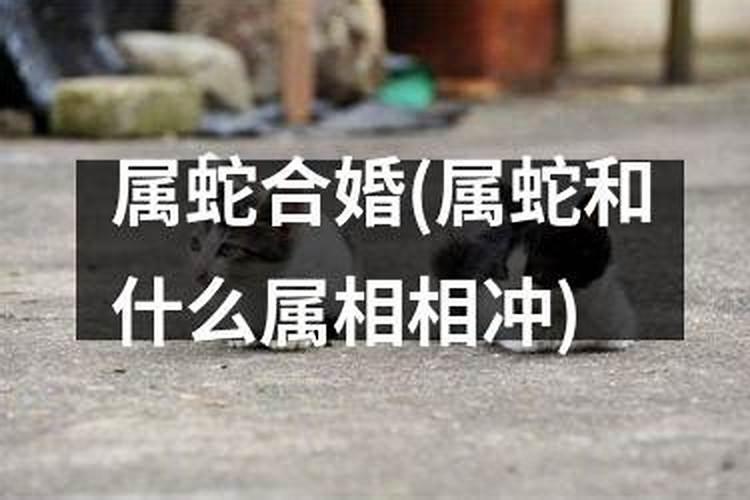 梦见墓地很多坟墓被挖了