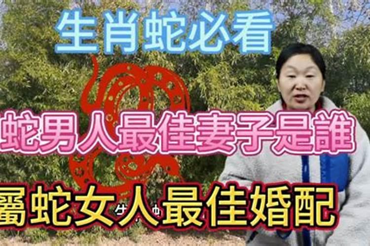 女狗男蛇的八字合不合