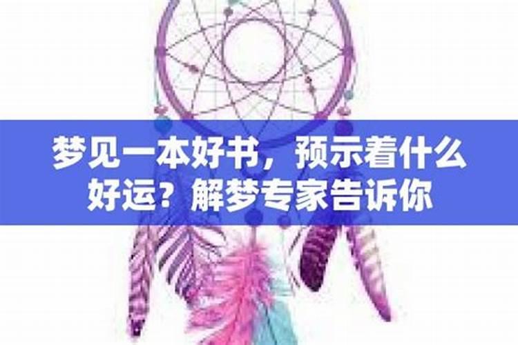 梦见什么好运