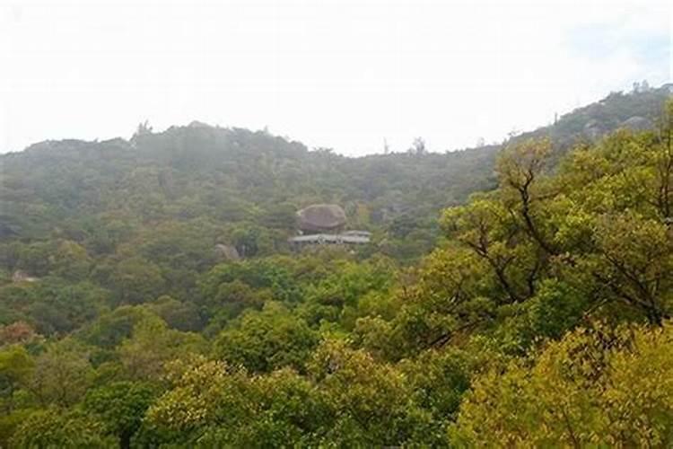 背靠大山面朝水的房子风水