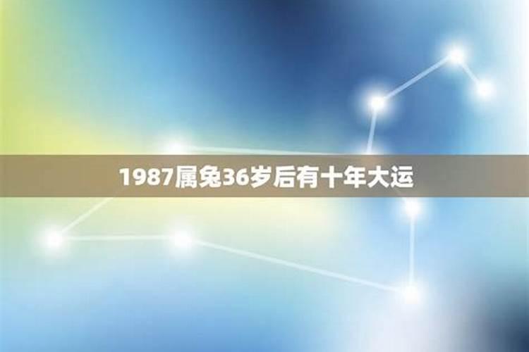 1987属兔36岁后有十年大运