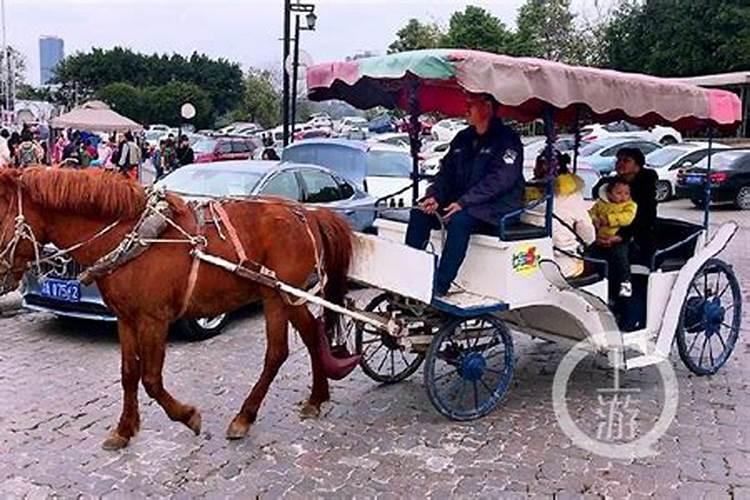 梦见坐马车