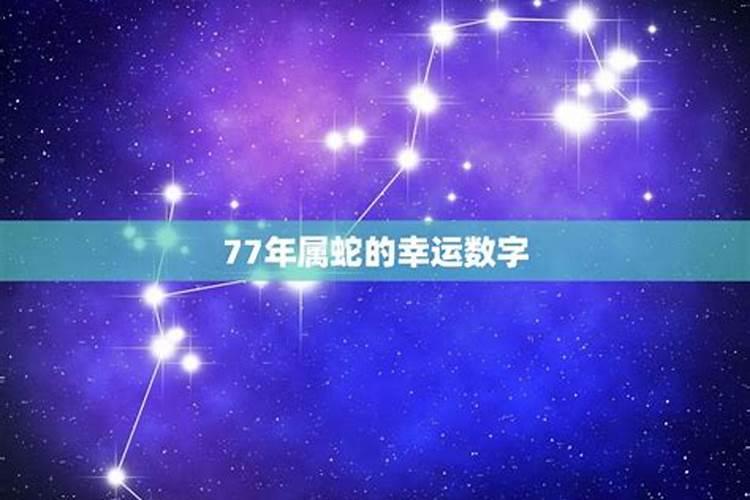 属蛇77年的幸运数字