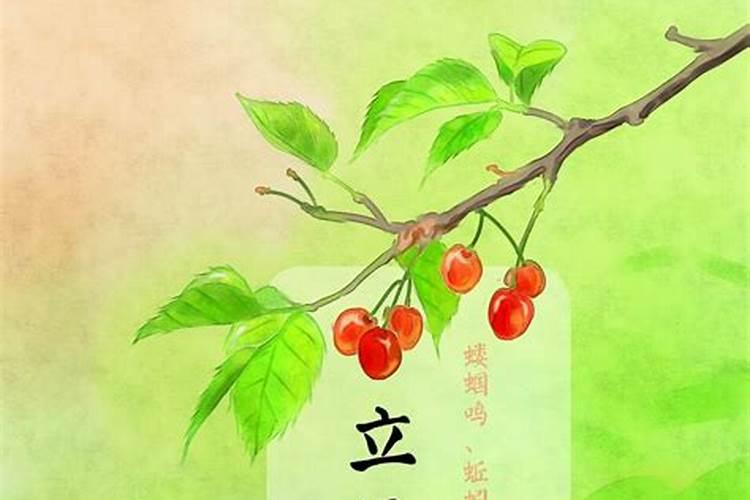 24节气立夏是什么意思