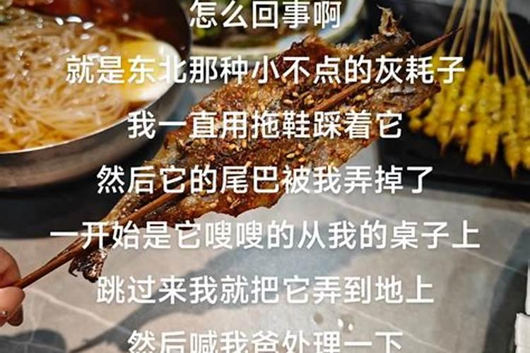 梦见踩到老鼠有什么预兆吗周公解梦