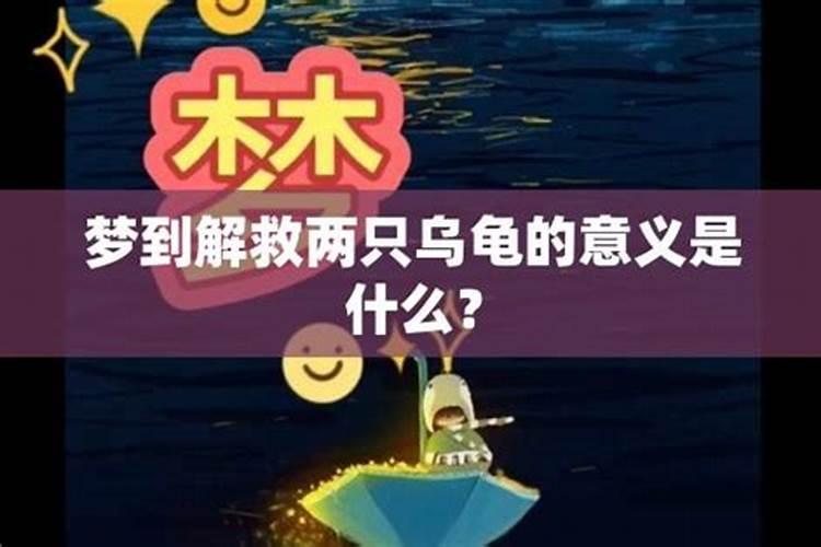 梦见在水里捞到两只乌龟