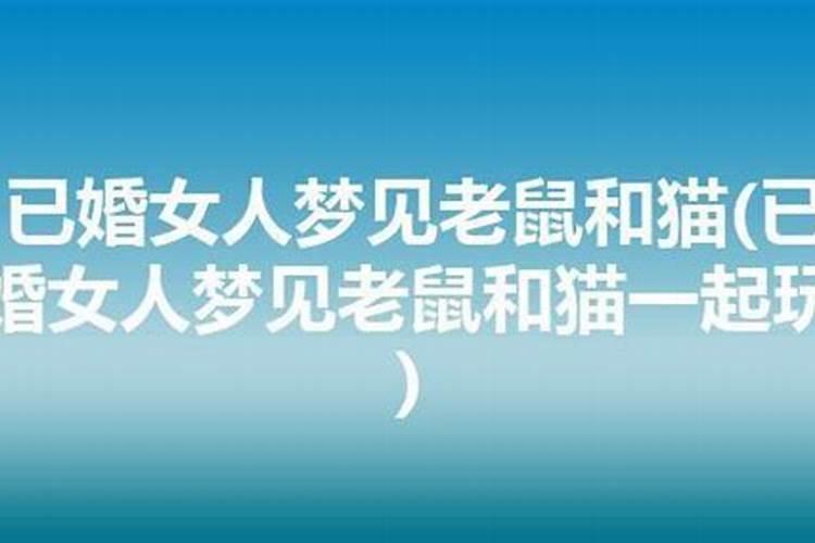 已婚女人梦见老鼠和猫但是打死了很多只猫