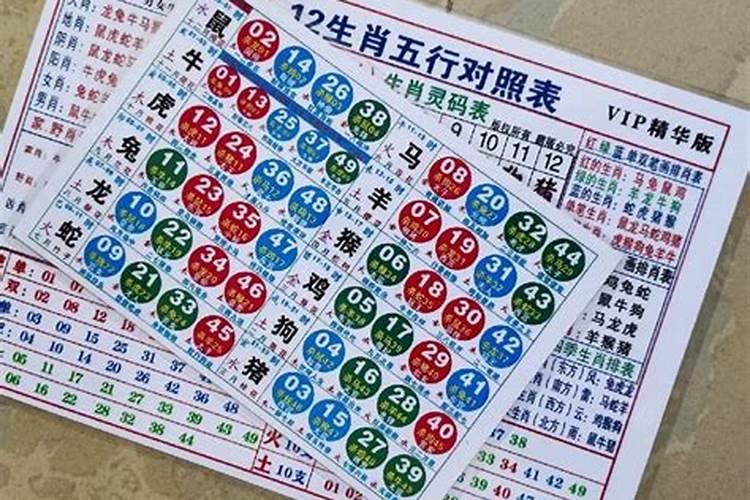 2021兔子生肖号码是什么号