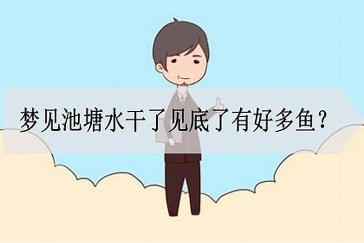 梦见水干了鱼死了很多