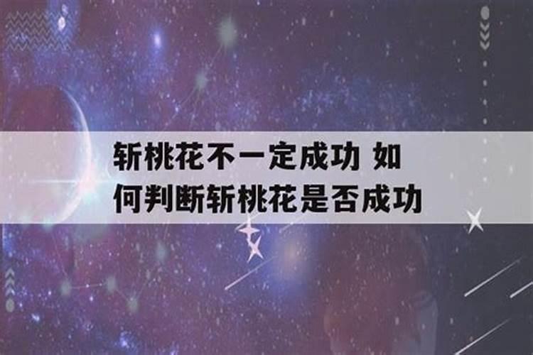 被人斩桃花了,该怎么办