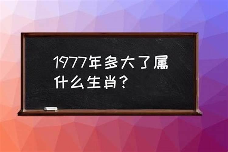 1977年的人属什么生肖