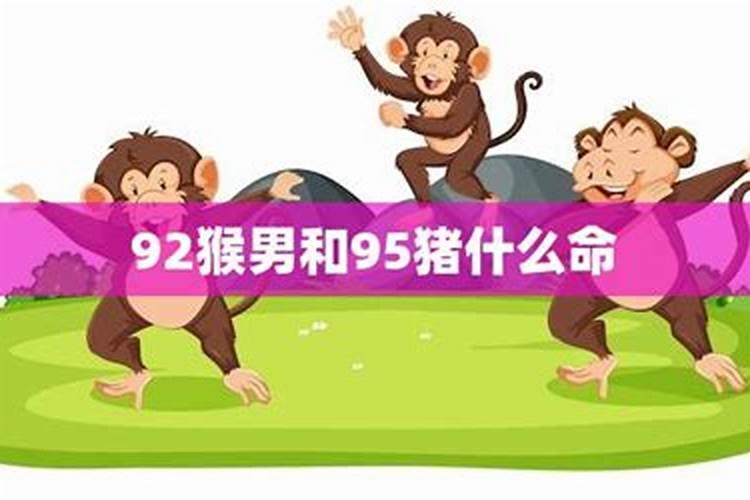 92猴和95猪属相合不合财