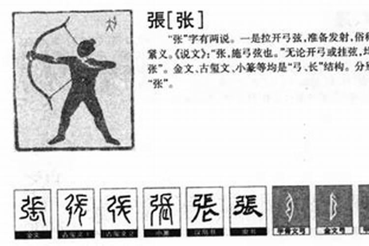 赵字五行属什么