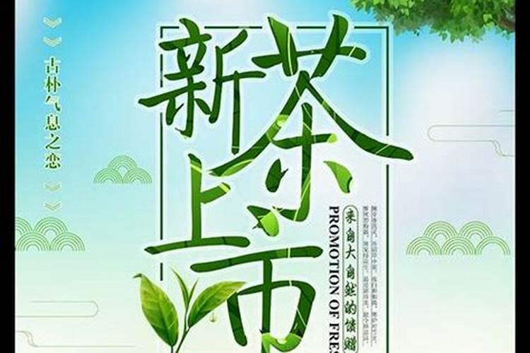 清明茶几月份上市最好