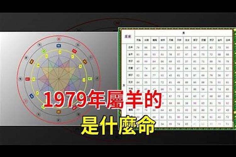 1979年出生人五行属什么命