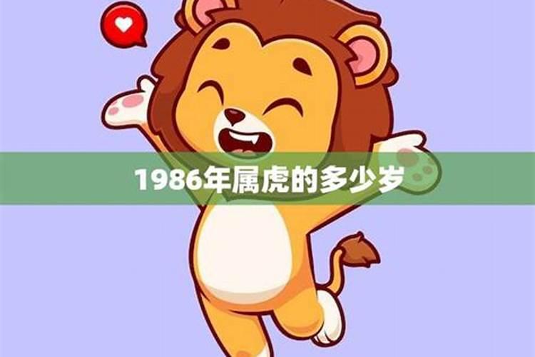 1986年属虎的今年几岁了