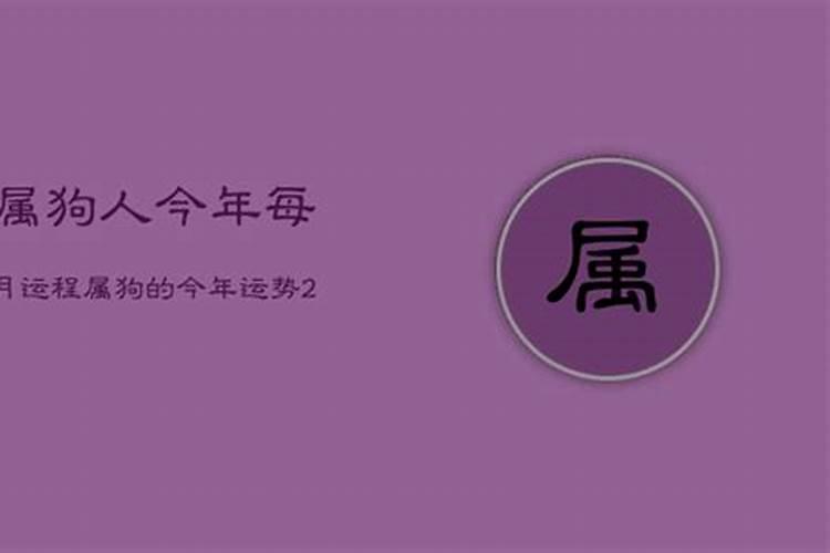 狗人2021年每月运程每月运势