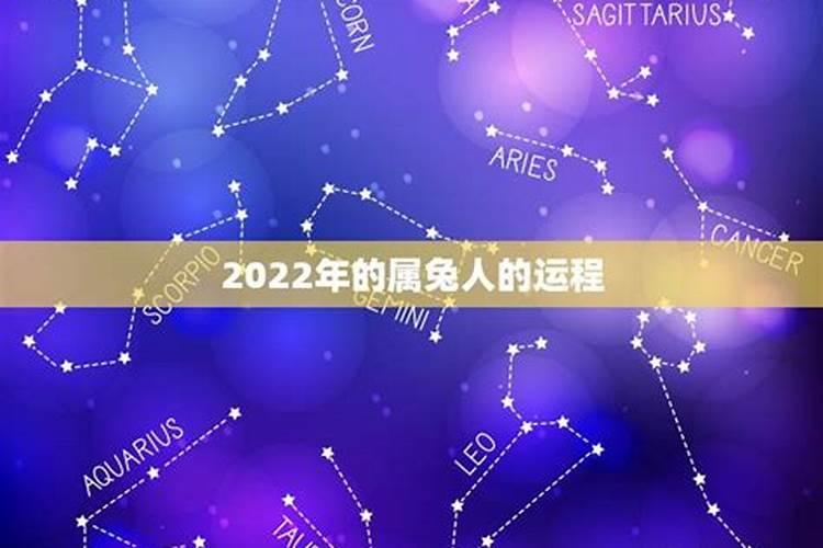 2022年属兔人的感情