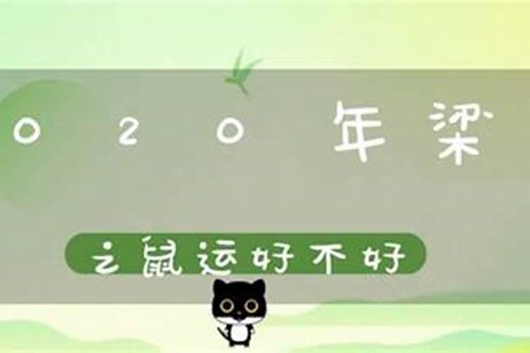 2020年属鼠在五行当中属于什么命运