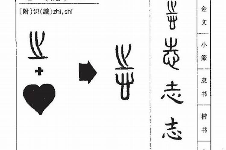 志字五行属什么