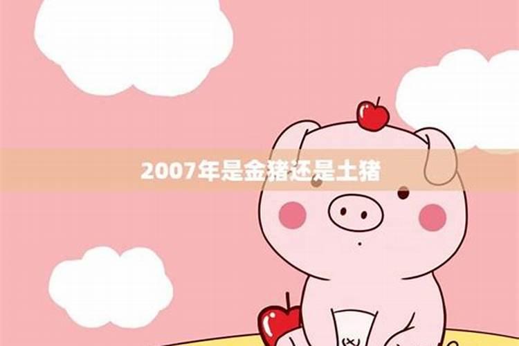 2007年属猪为什么是金猪的命运