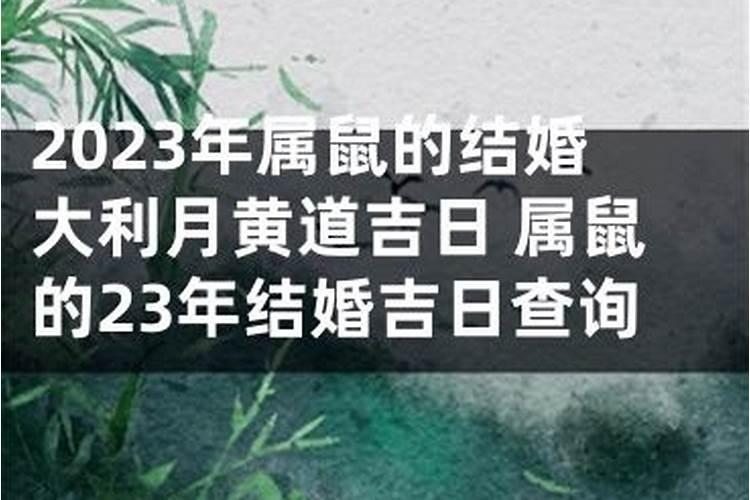 2022年属鼠的结婚大利月