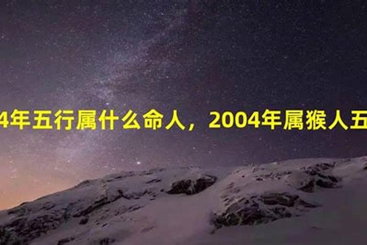 2004年五行属于什么命