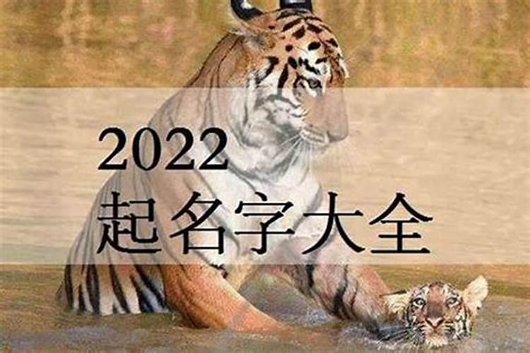 属蛇人2022虎年命运女