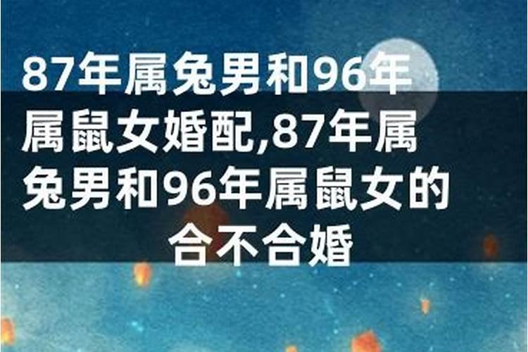 87年男跟96年鼠婚姻合不合