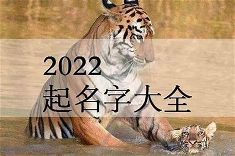 给宝宝取名字2022年属虎男孩名字