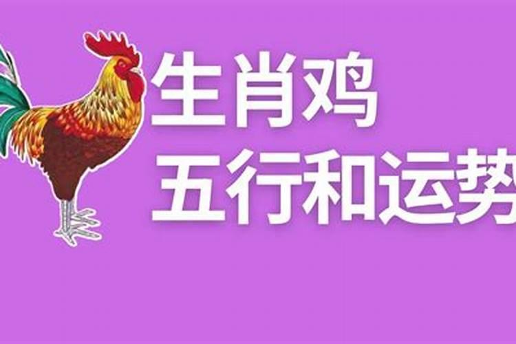 2017年属鸡是金木水火土什么命