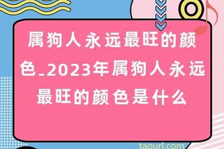 2023年属狗最旺的颜色