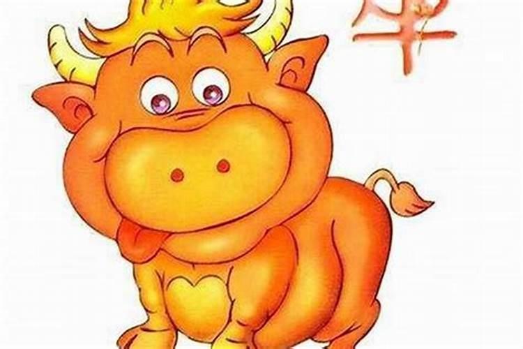 1997年属牛戴什么颜色好