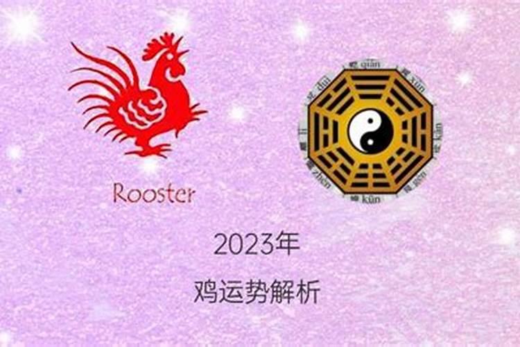 81的鸡2023年运势