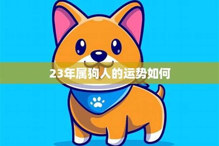 2021年属狗的人财运怎么样