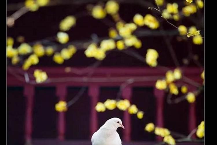 运气不好了怎么办