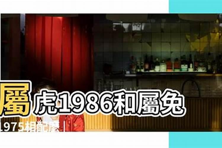 女86年属虎和男87年属兔的相配吗好吗