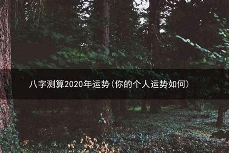 八字测2022年财运