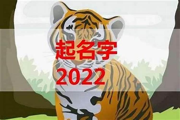 2023年属虎的宝宝起名字大全