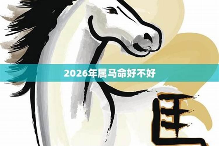 2014年属马金命