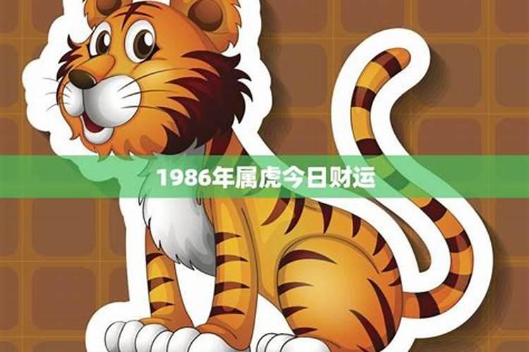 1986属虎今日运势如何