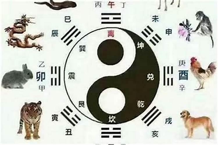 属蛇和什么属相八字比较合