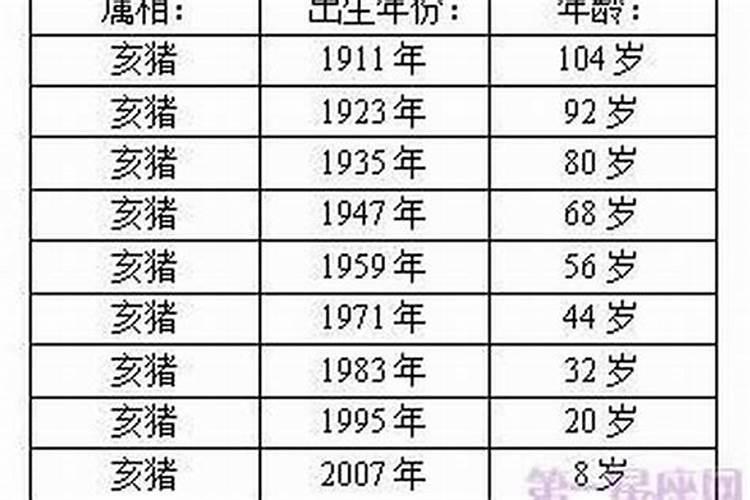 属猪的交运要注意什么1983年属猪交运时间