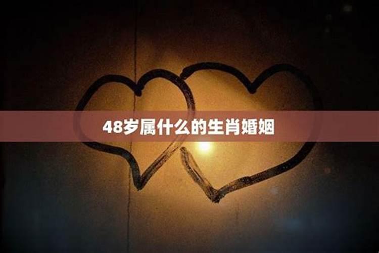 48岁属什么生肖婚配