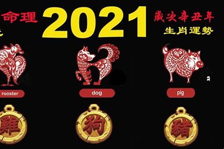 2021生肖运情