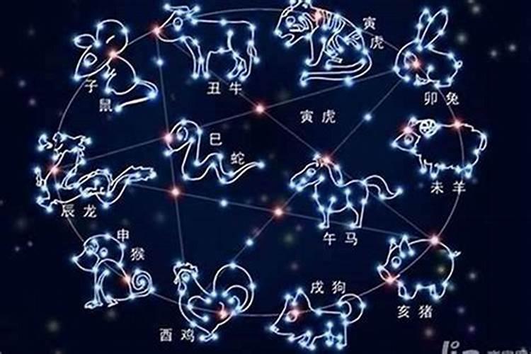 12星座对应的十二生肖