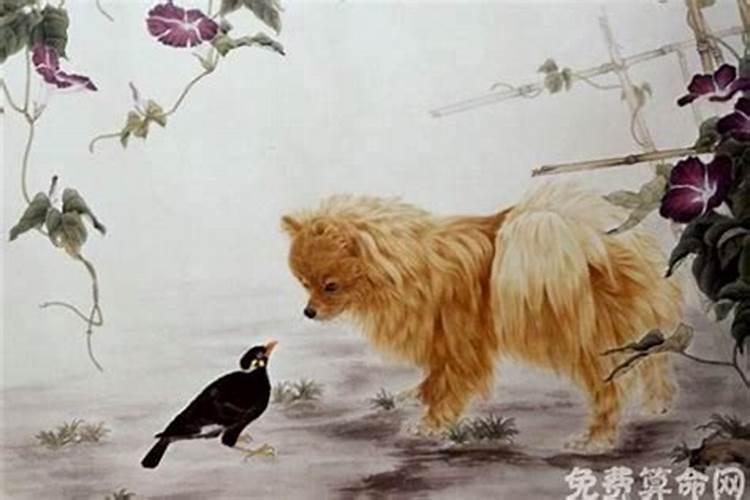 属狗的和属猪的明年什么时候结婚好