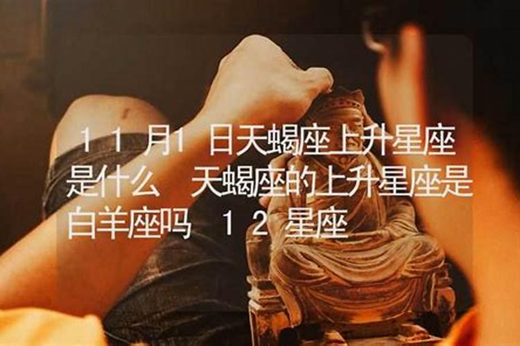 11月11日天蝎座什么命