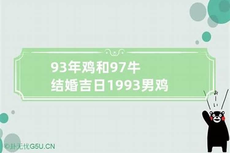 93年男鸡和97年女牛是什么婚姻